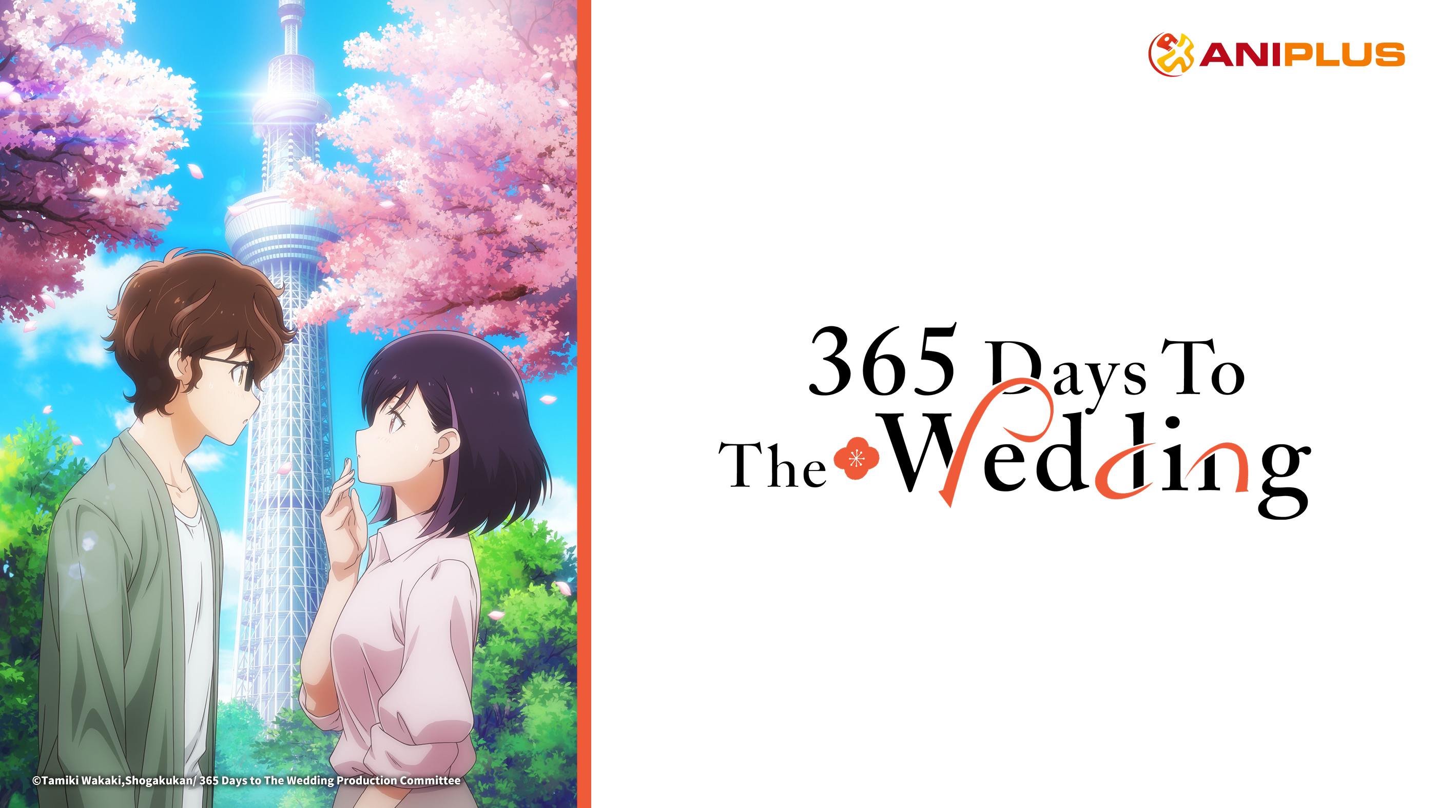 365 Days to the Wedding Episode Synopsis