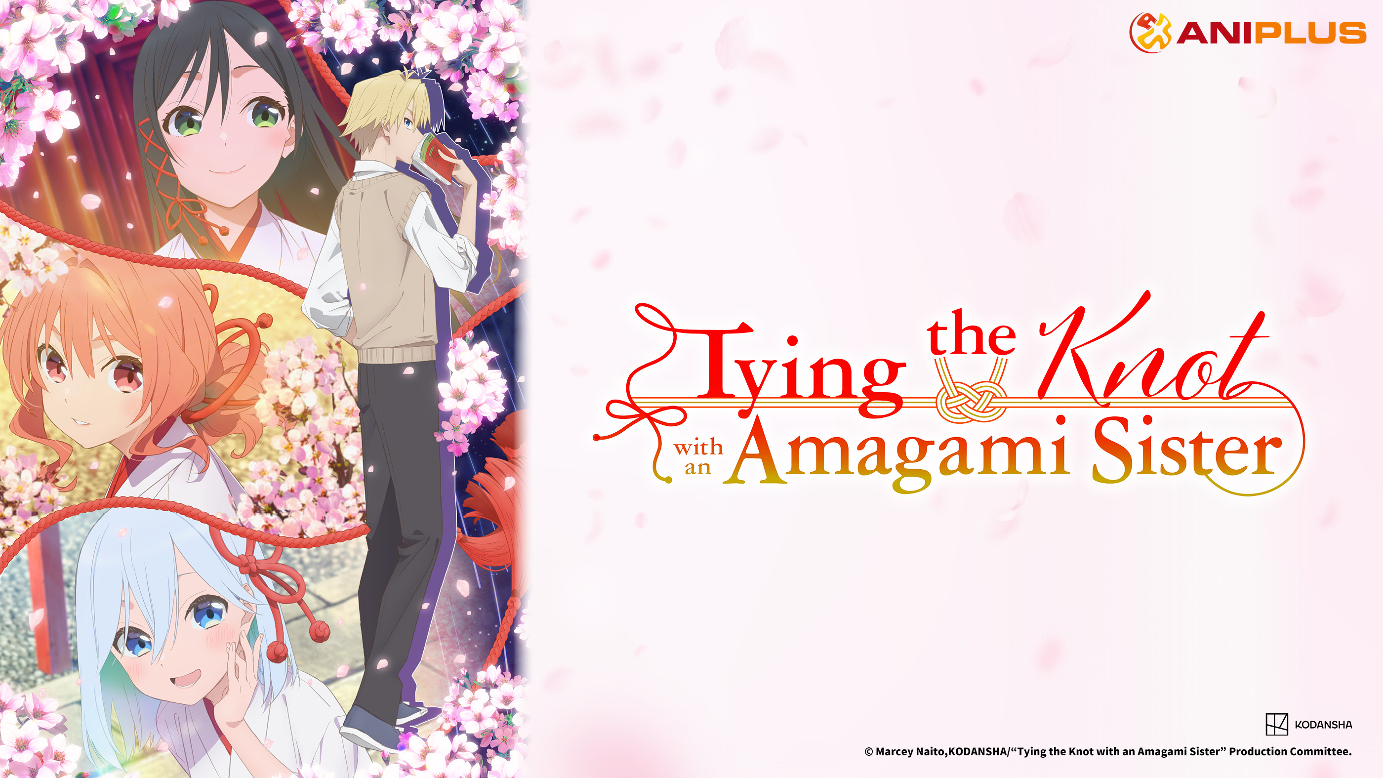 Tying the Knot with an Amagami Sister Episode Synopsis